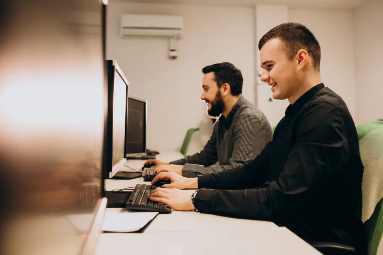 IT Professionals