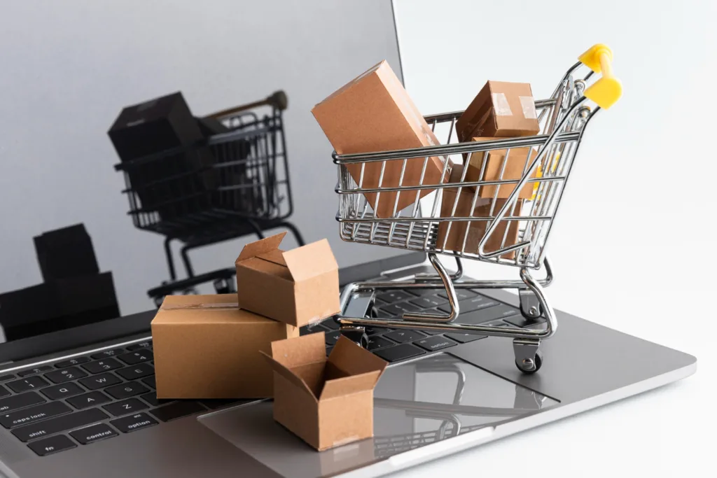 Online Store Setup
